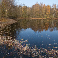 Saerbeck Herbst