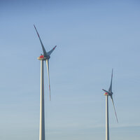 Pferd und Windkraftanlagen