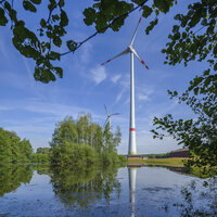 Windkraftanlagen und Biotop