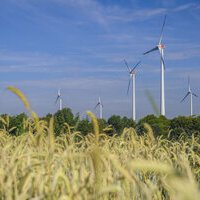 Windkraftanlagen und Getreidefeld