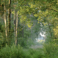 Weg im Naturschutzgebiet