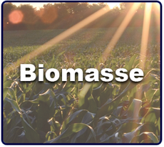 Energie aus Biomasse