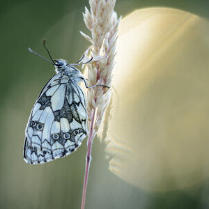 Energiegespräch Weg-in-die-Wildnis