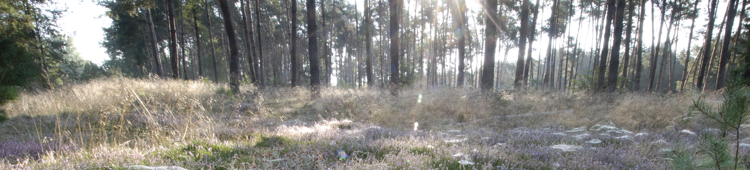 NaturPur Header