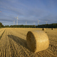 Landschaft am Bioenergiepark
